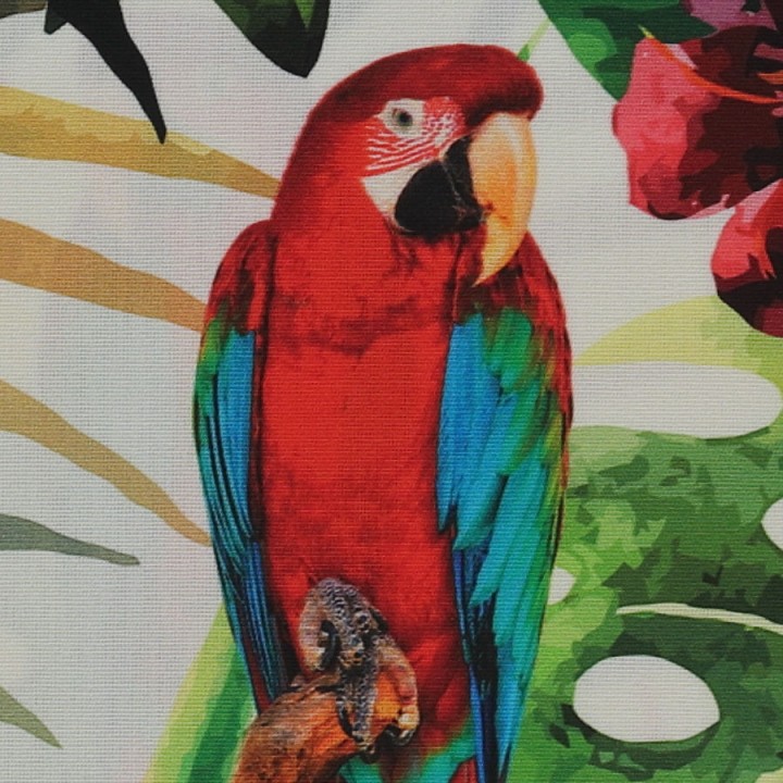 347505720000_color_6.jpg