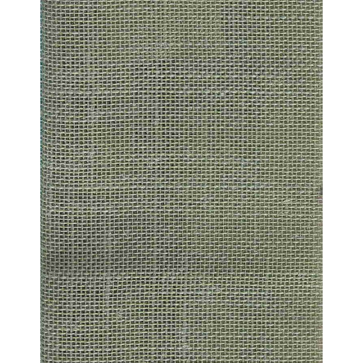 310309824062_color_1.JPG