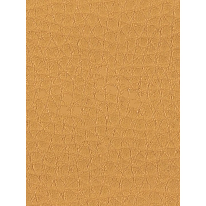 343000101013_color_1.JPG