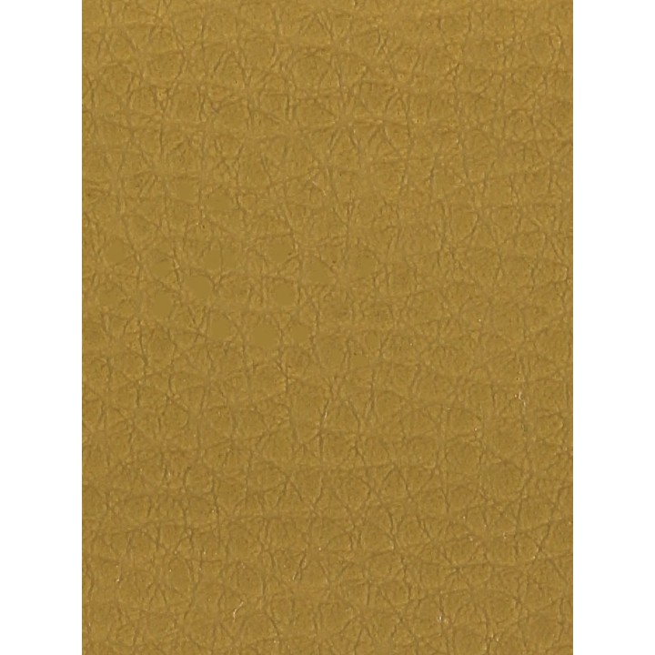 343000101061_color_1.JPG
