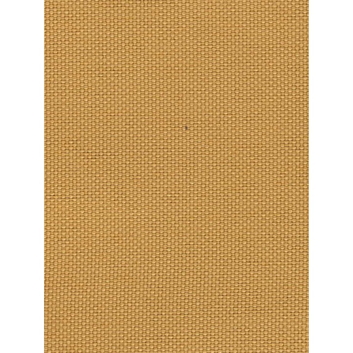 352313921039_color_1.JPG