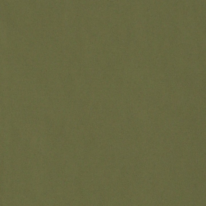 336362224063_color_5.jpg